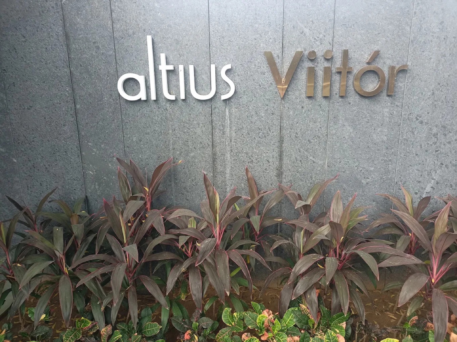 Altius Viitor by Synthesis, Ambli — Project photo