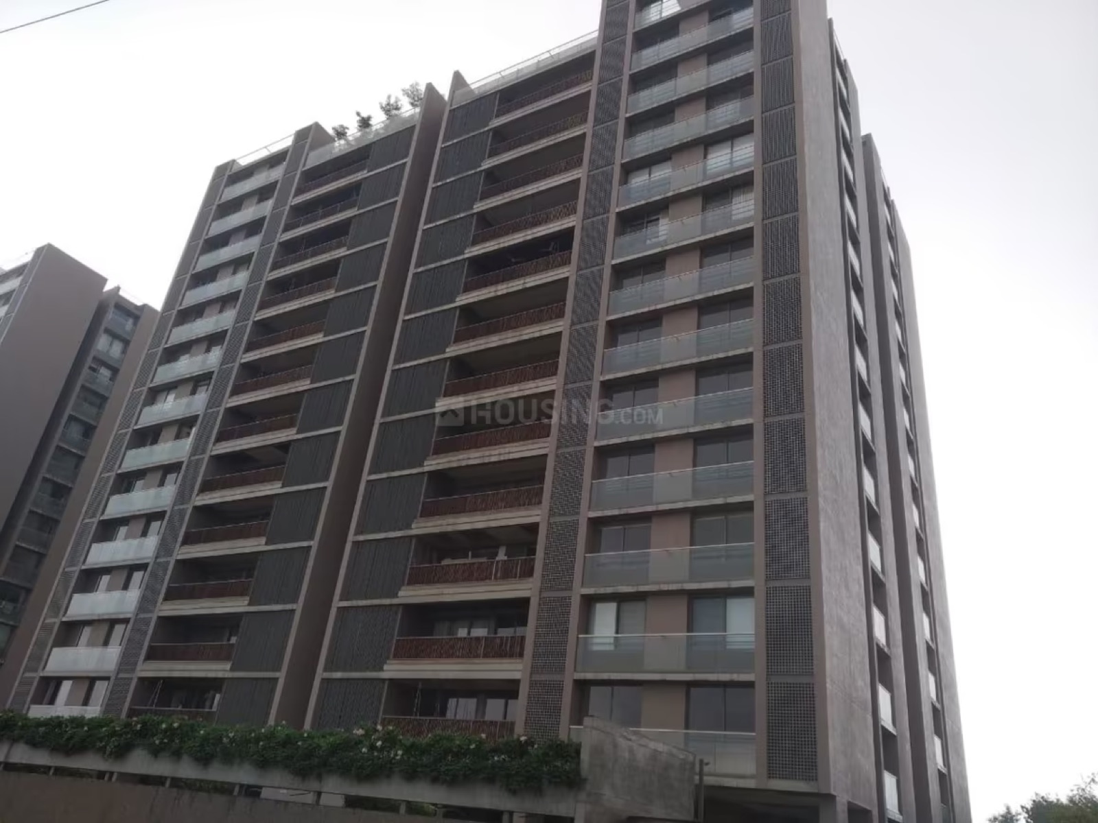 Parshwa Luxuria, Ambli